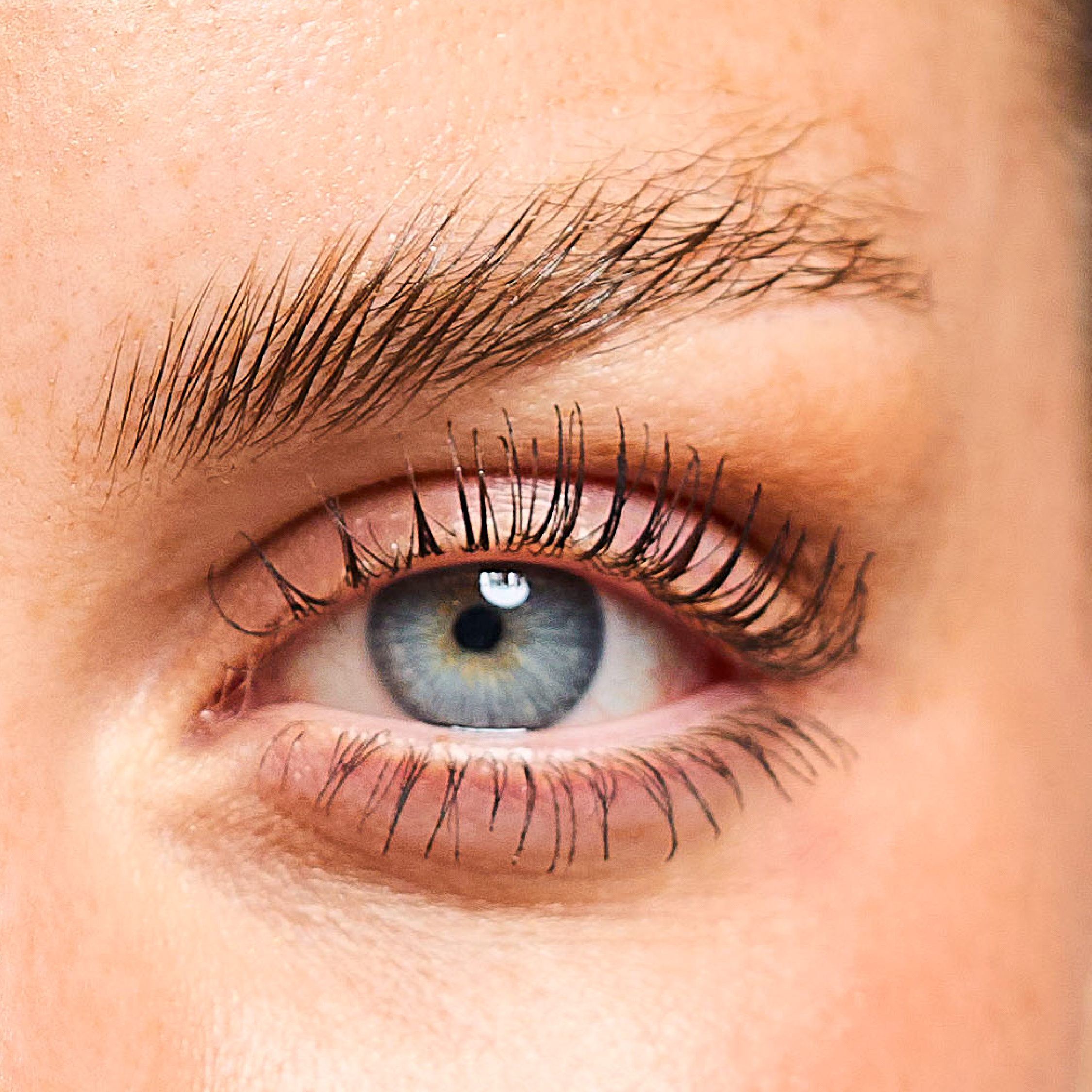 Mascara Lash Focus