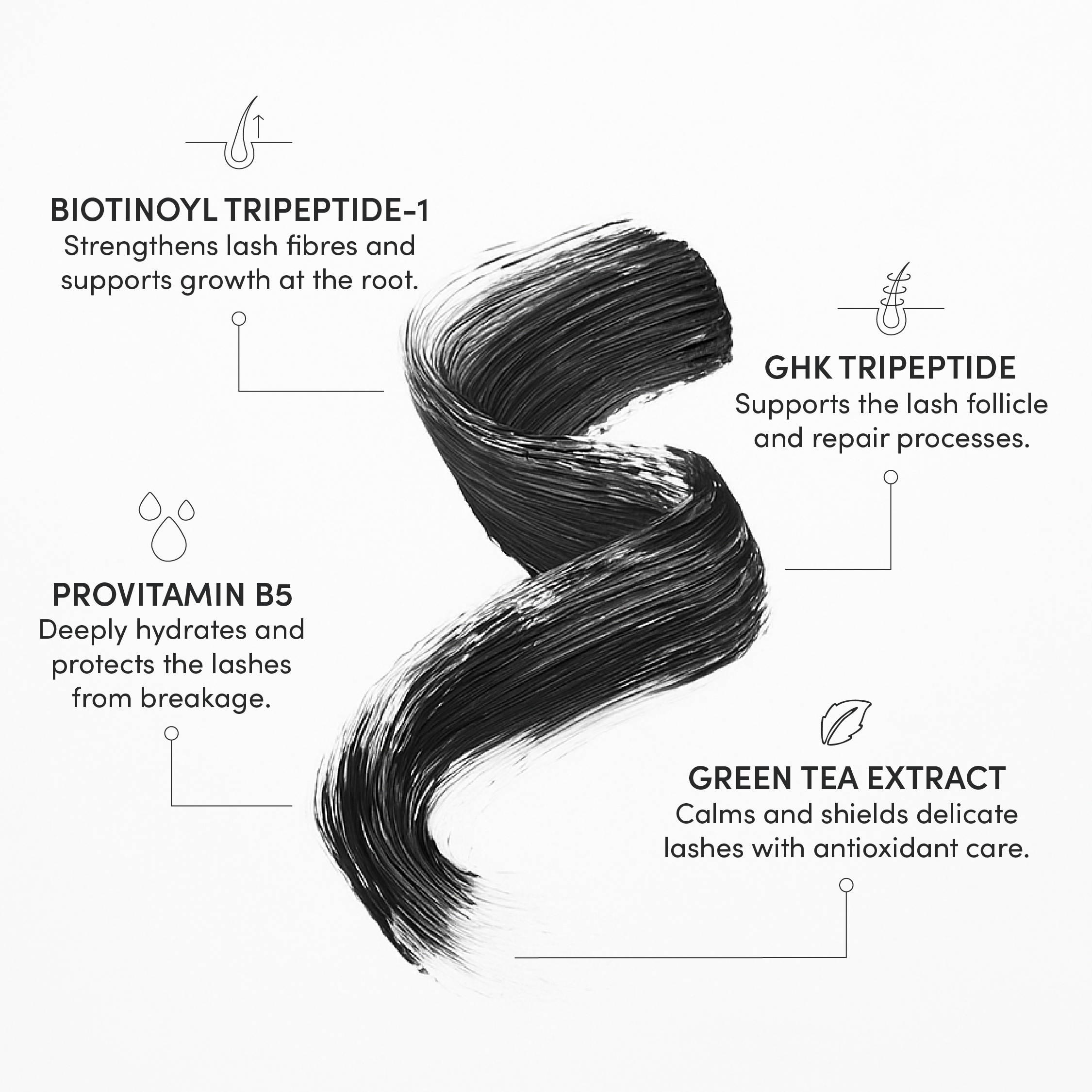 FOCUS Lash Growth Mascara