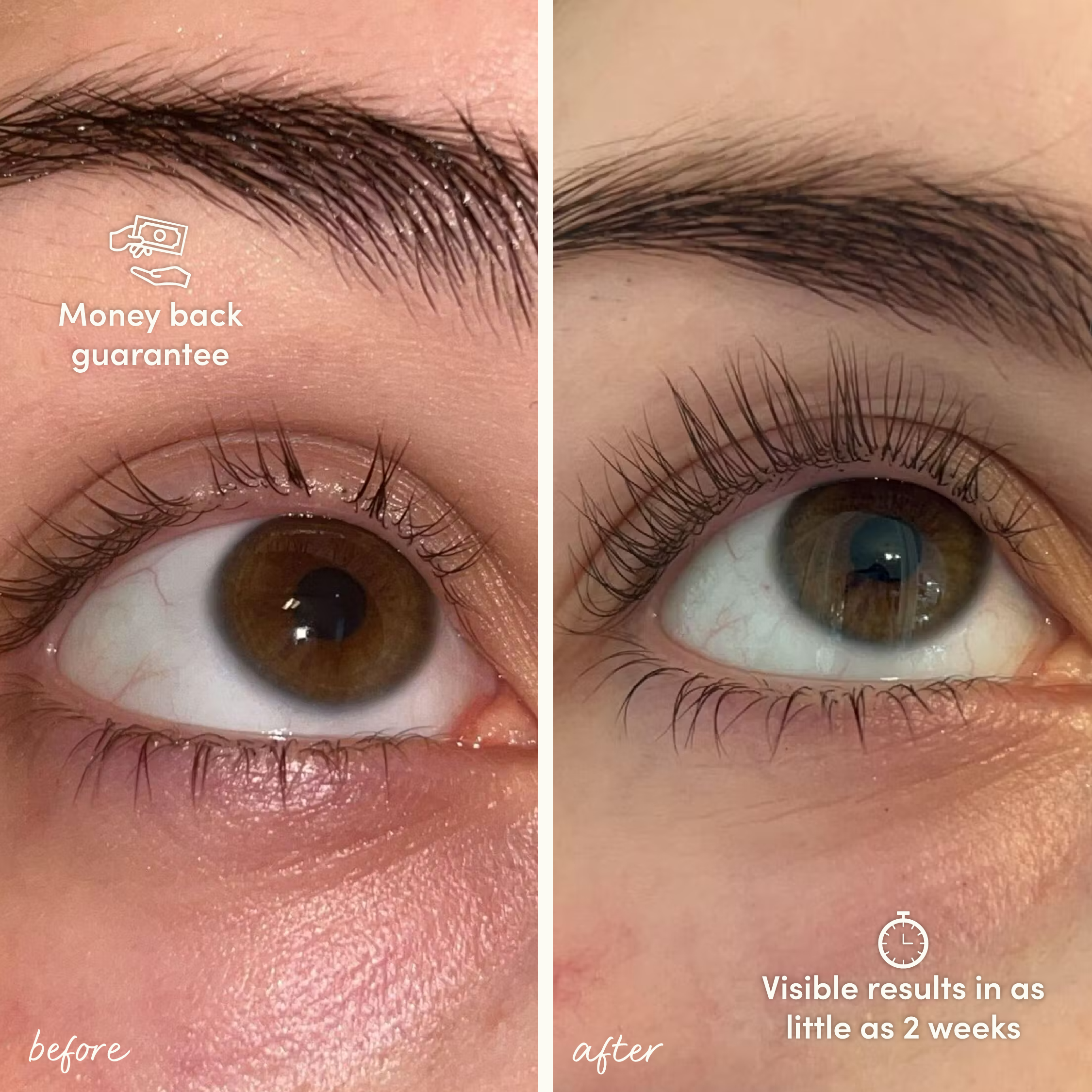 Lash Growth Serum