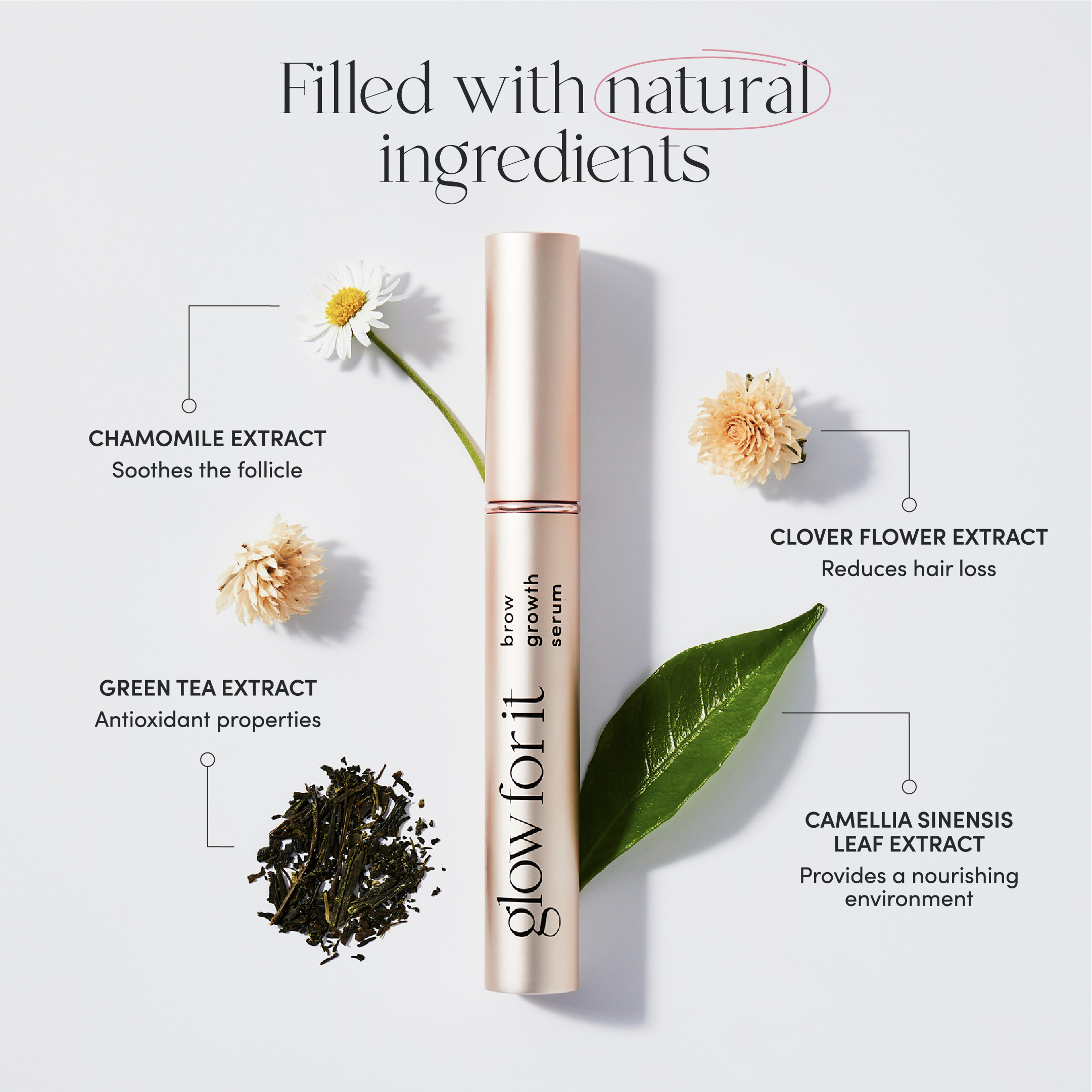 Brow Growth Serum