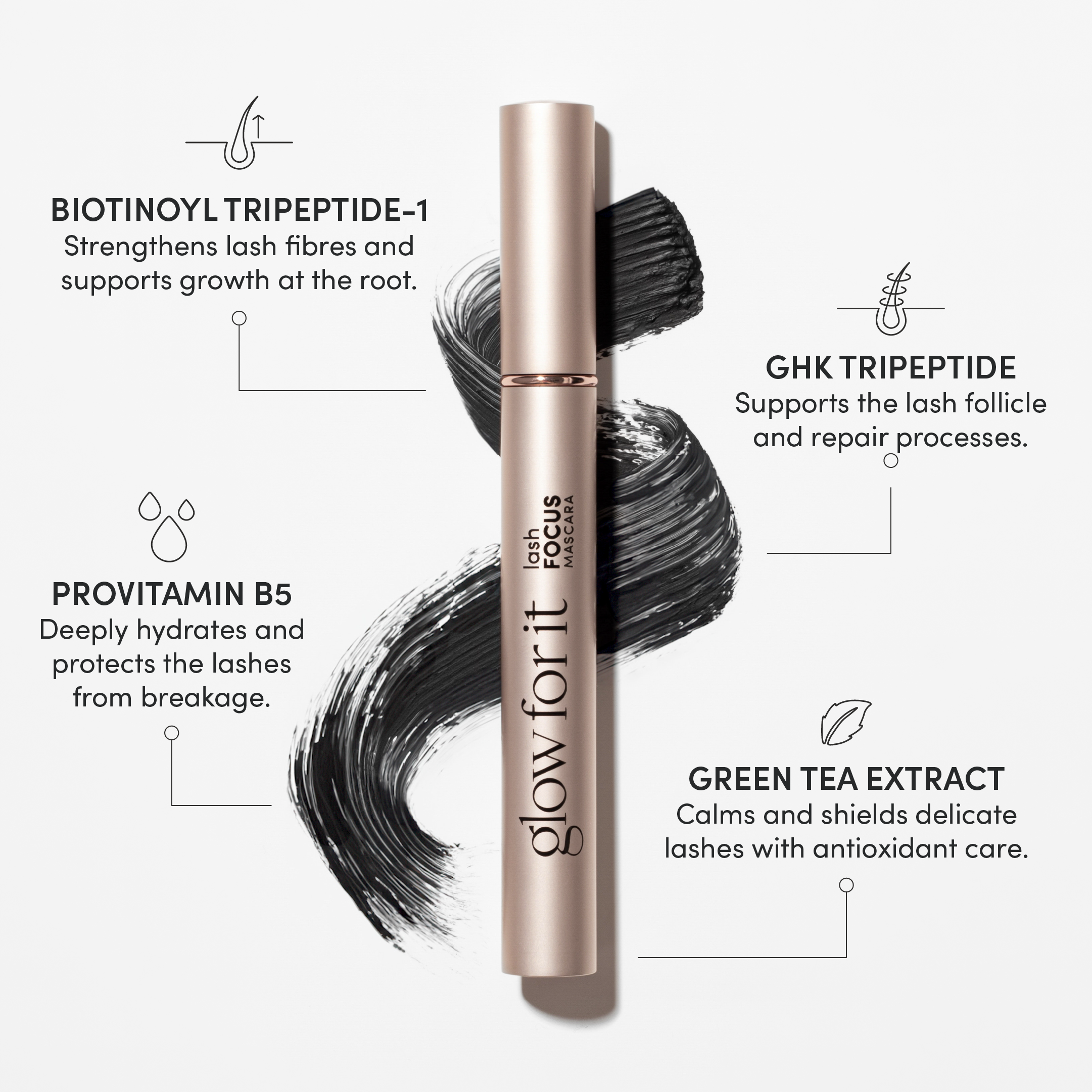 Dúo Enfoque + Restauración