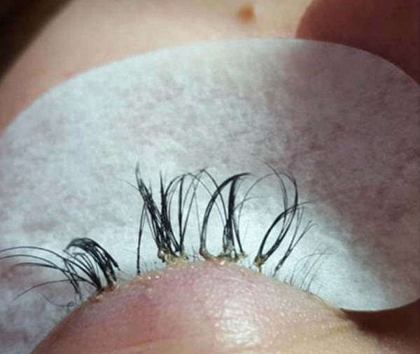 Lash Extensions- what's the damage?