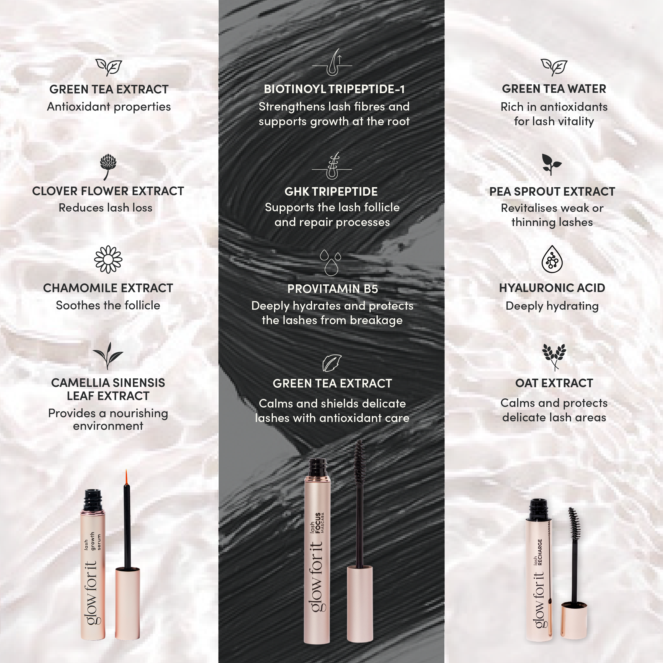 Our Founder's Favourites