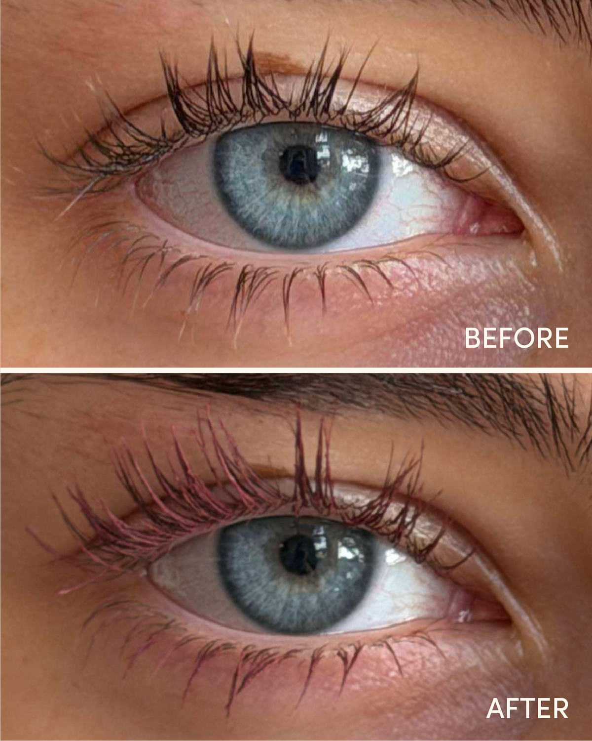 Máscara de pestañas FOCUS Lash Growth