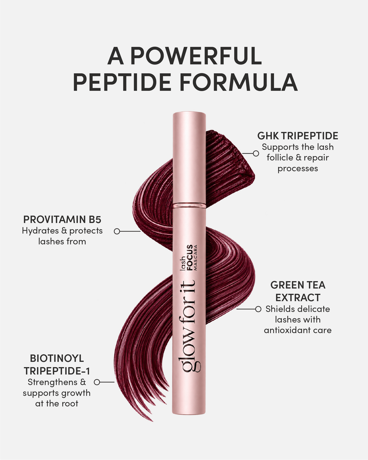 Máscara de pestañas FOCUS Lash Growth
