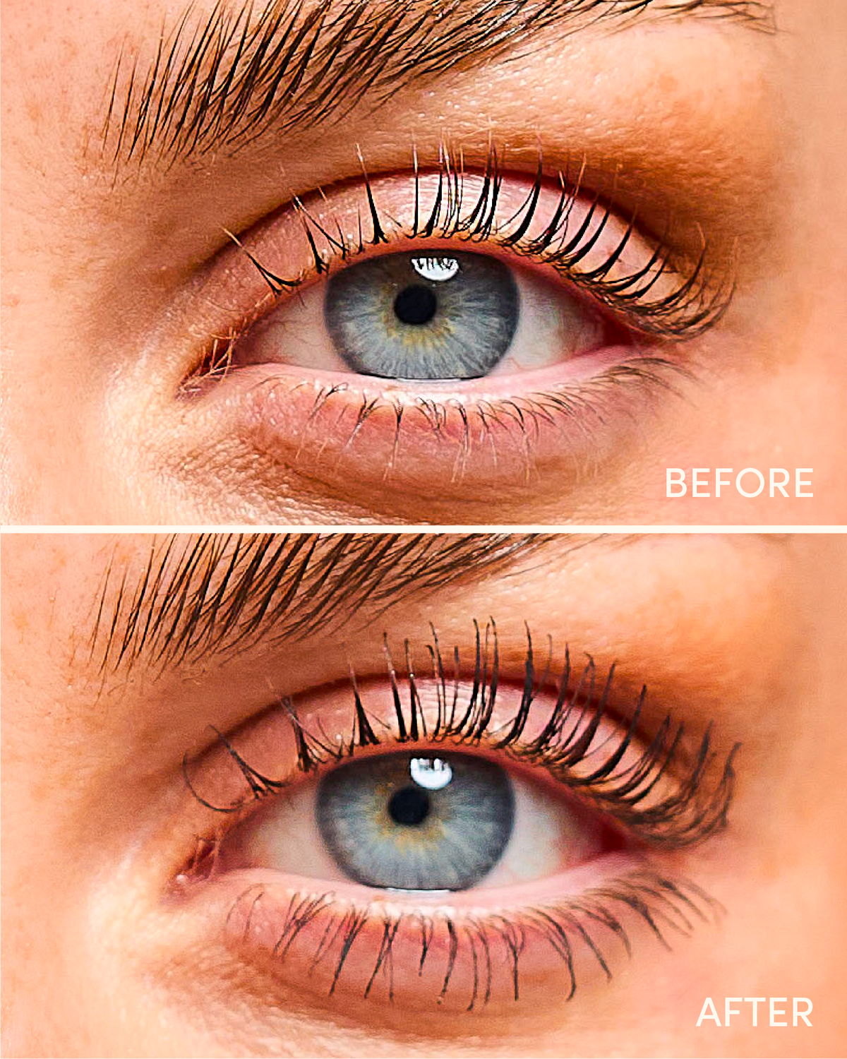 Máscara de pestañas FOCUS Lash Growth