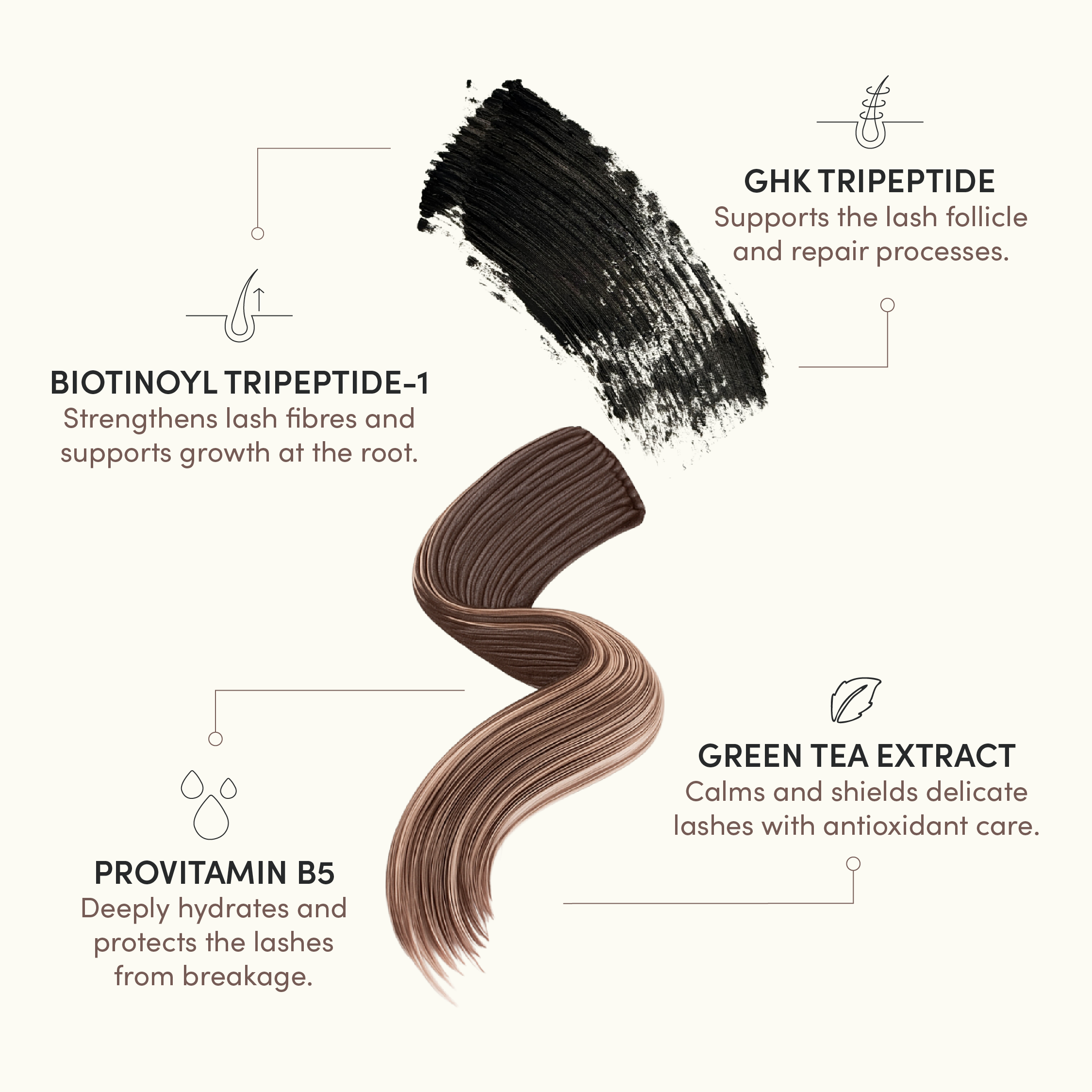 FOCUS Lash Growth Mascara