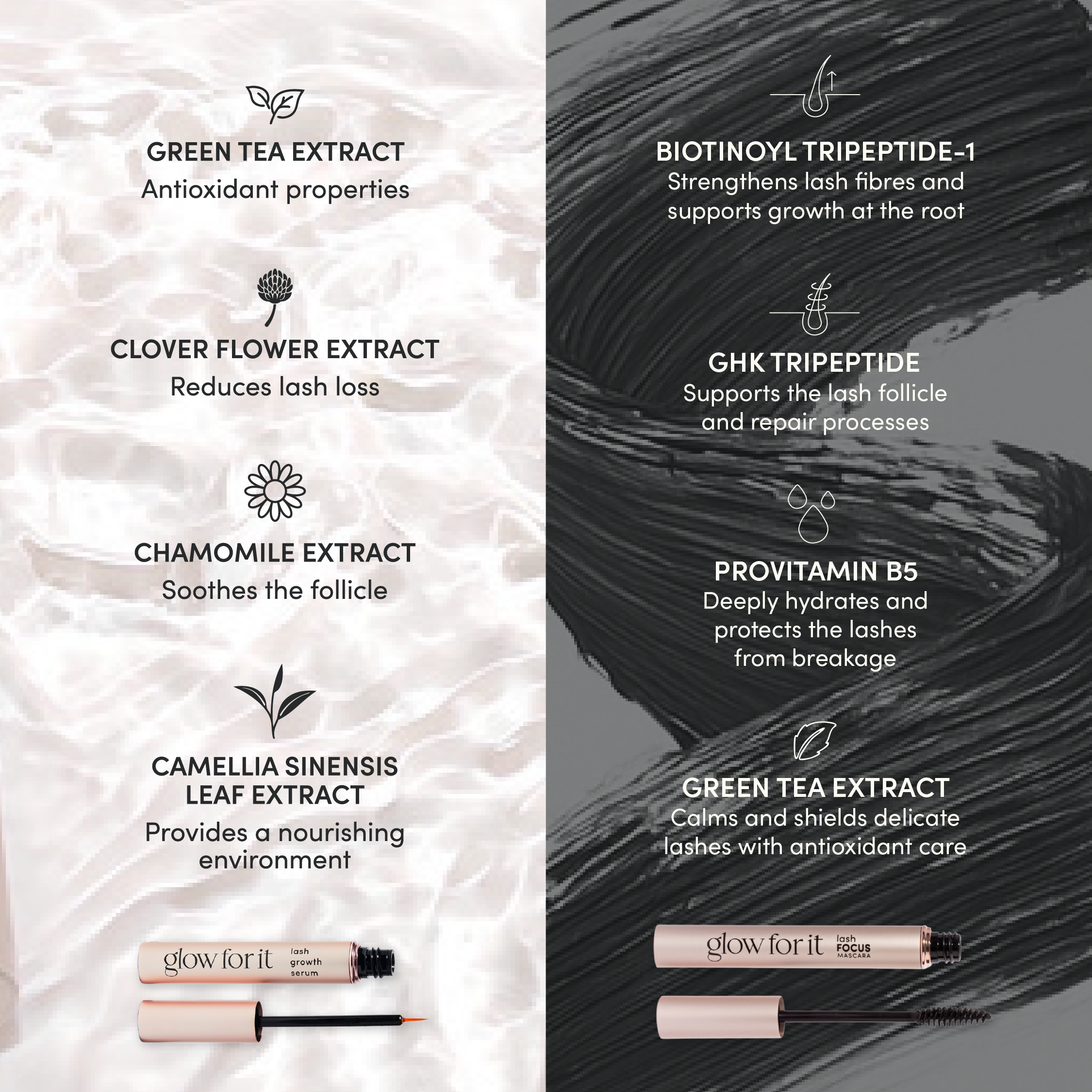 Lash & Black Mascara Duo